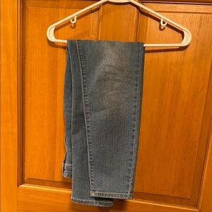 Classic Blue Skinny Jeans